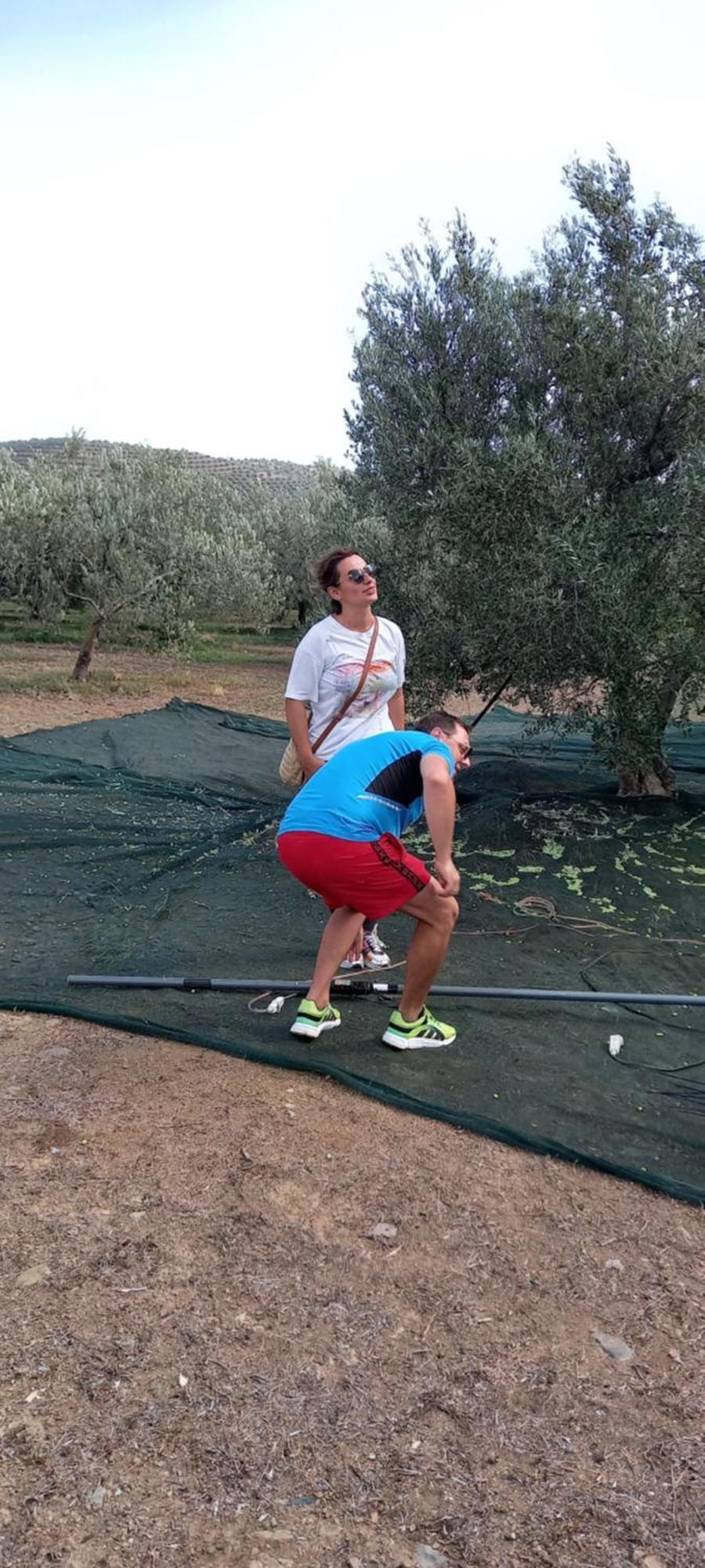 דירות Pigadhia  Ktima Develekou מראה חיצוני תמונה